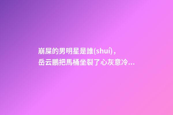 崩屎的男明星是誰(shuí)，岳云鵬把馬桶坐裂了心灰意冷微博不許評(píng)論-第1張-觀點(diǎn)-玄機(jī)派