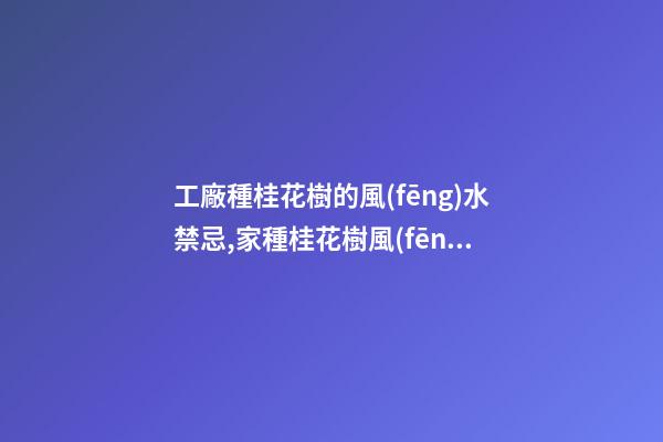 工廠種桂花樹的風(fēng)水禁忌,家種桂花樹風(fēng)水好還是不好？