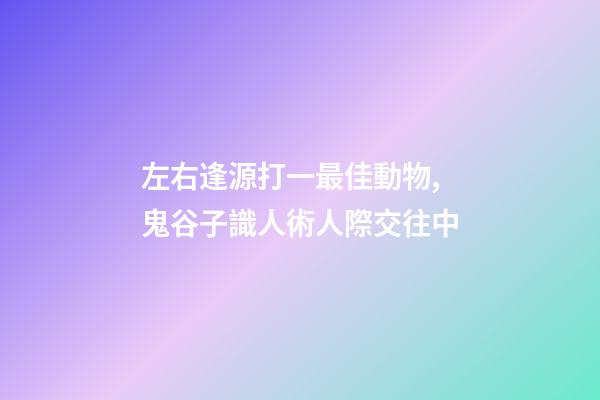 左右逢源打一最佳動物,鬼谷子識人術人際交往中-第1張-觀點-玄機派