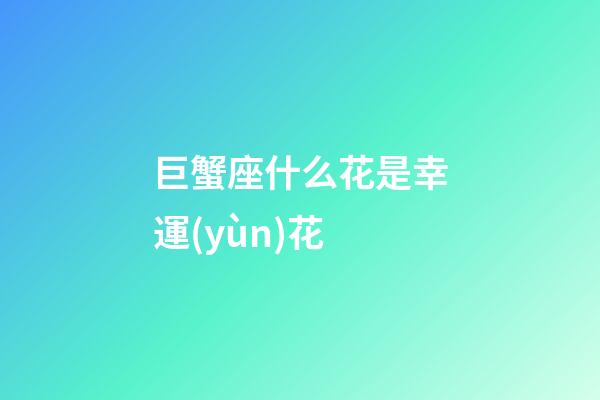 巨蟹座什么花是幸運(yùn)花