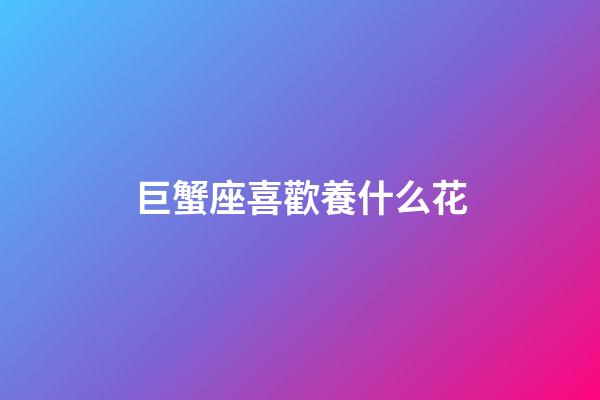 巨蟹座喜歡養什么花