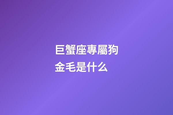 巨蟹座專屬狗金毛是什么-第1張-星座運勢-玄機派