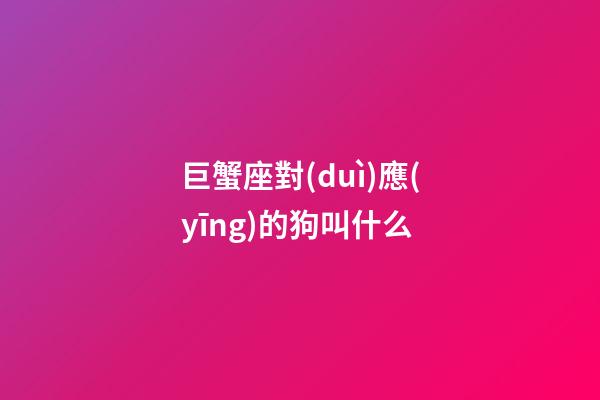 巨蟹座對(duì)應(yīng)的狗叫什么