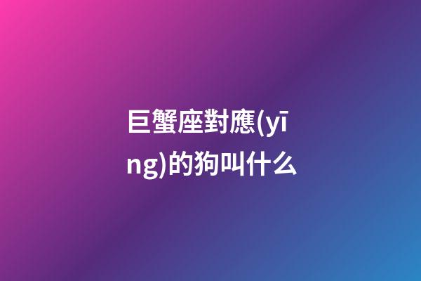 巨蟹座對應(yīng)的狗叫什么