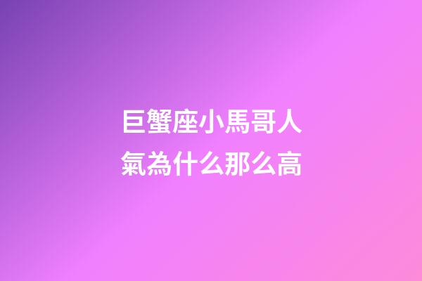 巨蟹座小馬哥人氣為什么那么高