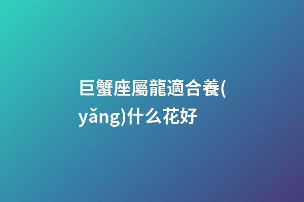 巨蟹座屬龍適合養(yǎng)什么花好-第1張-星座運(yùn)勢-玄機(jī)派