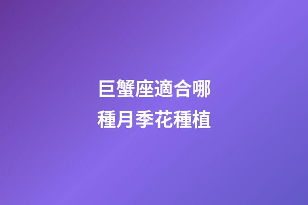 巨蟹座適合哪種月季花種植-第1張-星座運勢-玄機派