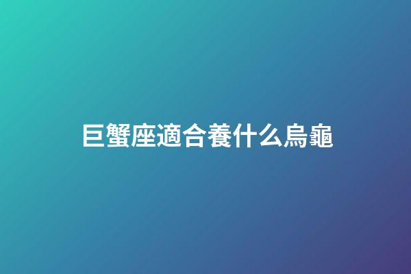 巨蟹座適合養什么烏龜-第1張-星座運勢-玄機派