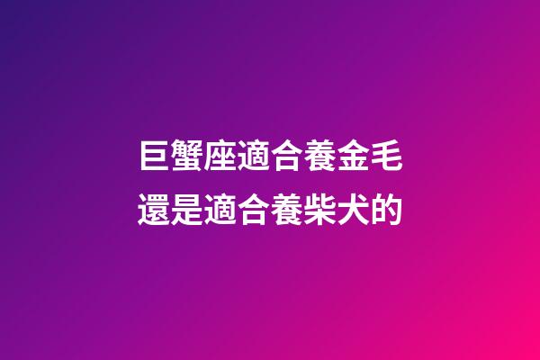 巨蟹座適合養金毛還是適合養柴犬的-第1張-星座運勢-玄機派