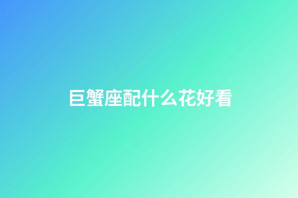 巨蟹座配什么花好看
