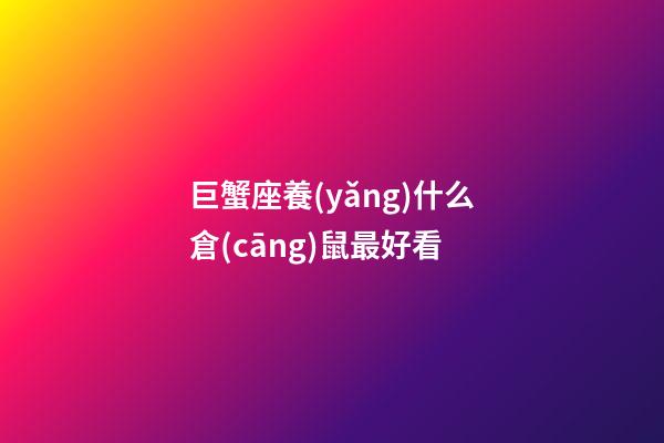 巨蟹座養(yǎng)什么倉(cāng)鼠最好看