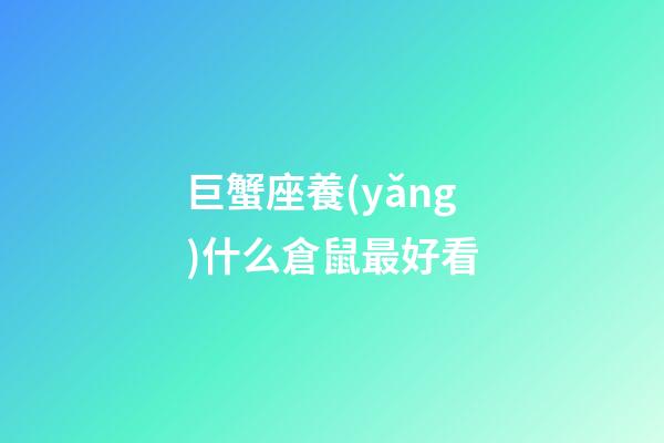 巨蟹座養(yǎng)什么倉鼠最好看