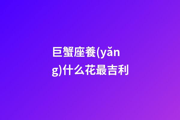 巨蟹座養(yǎng)什么花最吉利