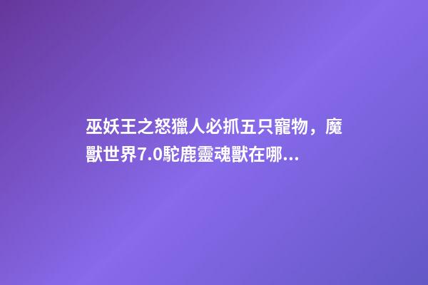 巫妖王之怒獵人必抓五只寵物，魔獸世界7.0駝鹿靈魂獸在哪刷新-第1張-觀點(diǎn)-玄機(jī)派