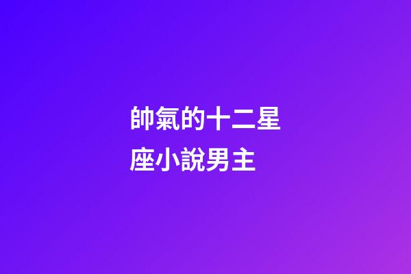 帥氣的十二星座小說男主