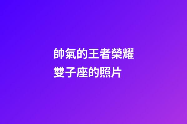 帥氣的王者榮耀雙子座的照片-第1張-星座運勢-玄機派