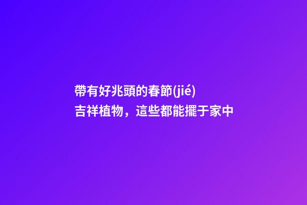 帶有好兆頭的春節(jié)吉祥植物，這些都能擺于家中