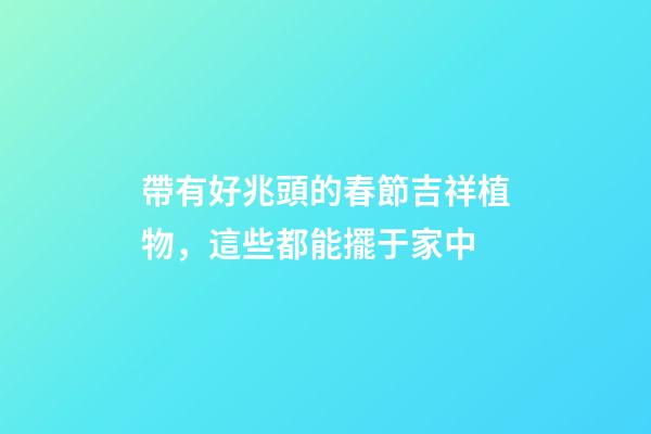 帶有好兆頭的春節吉祥植物，這些都能擺于家中