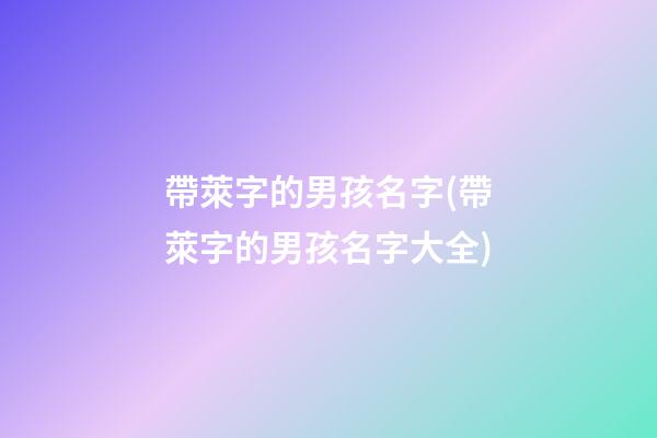 帶萊字的男孩名字(帶萊字的男孩名字大全)