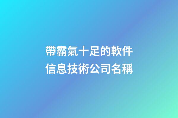 帶霸氣十足的軟件信息技術公司名稱-第1張-公司起名-玄機派