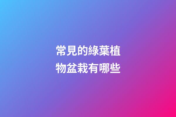 常見的綠葉植物盆栽有哪些