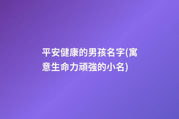 平安健康的男孩名字(寓意生命力頑強的小名)
