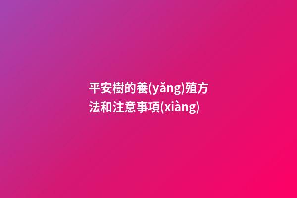 平安樹的養(yǎng)殖方法和注意事項(xiàng)