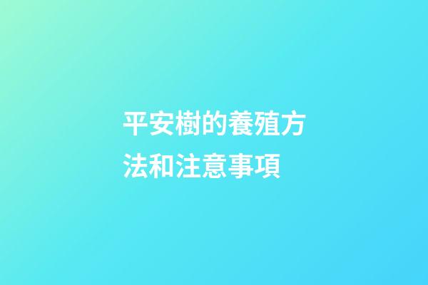 平安樹的養殖方法和注意事項