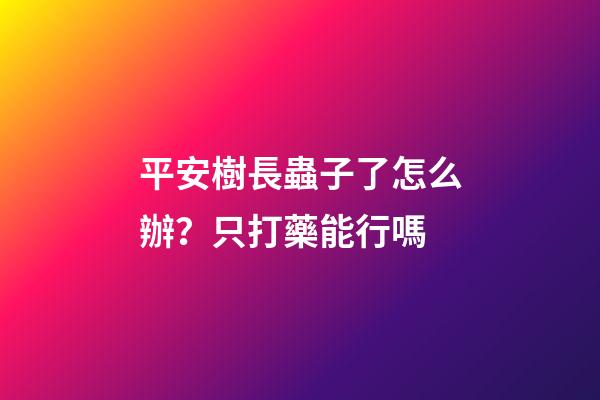 平安樹長蟲子了怎么辦？只打藥能行嗎