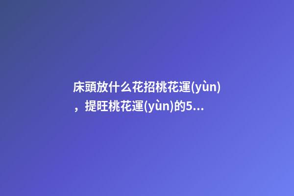 床頭放什么花招桃花運(yùn)，提旺桃花運(yùn)的5種花
