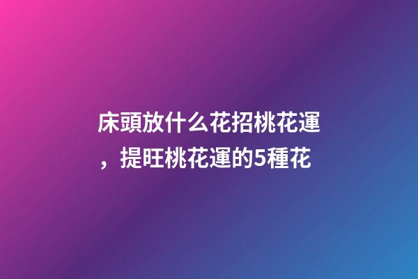 床頭放什么花招桃花運，提旺桃花運的5種花