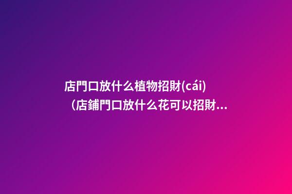 店門口放什么植物招財(cái)（店鋪門口放什么花可以招財(cái)又開(kāi)運(yùn)）