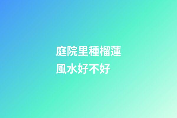庭院里種榴蓮風水好不好