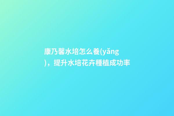 康乃馨水培怎么養(yǎng)，提升水培花卉種植成功率-第1張-觀點(diǎn)-玄機(jī)派