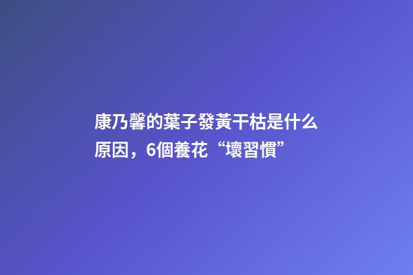 康乃馨的葉子發黃干枯是什么原因，6個養花“壞習慣”-第1張-觀點-玄機派