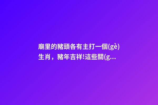 廟里的豬頭各有主打一個(gè)生肖，豬年吉祥!這些關(guān)于豬的成語(yǔ)、俗語(yǔ)、歇后語(yǔ)-第1張-觀點(diǎn)-玄機(jī)派