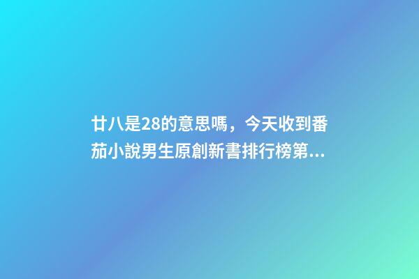 廿八是28的意思嗎，今天收到番茄小說男生原創新書排行榜第28名是什么意思