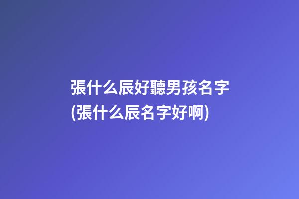 張什么辰好聽男孩名字(張什么辰名字好啊)