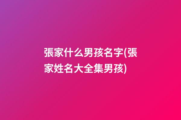 張家什么男孩名字(張家姓名大全集男孩)