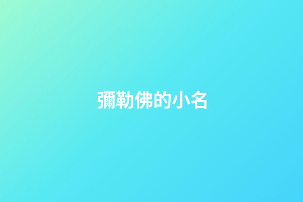 彌勒佛的小名(彌勒佛的小名是什么)-第1張-寶寶起名-玄機派