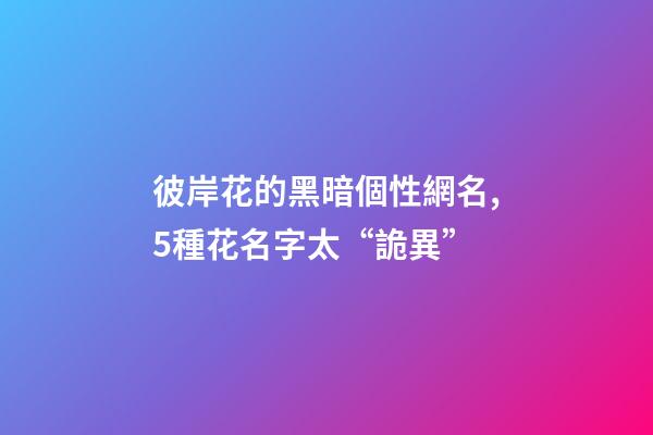 彼岸花的黑暗個性網名,5種花名字太“詭異”-第1張-觀點-玄機派