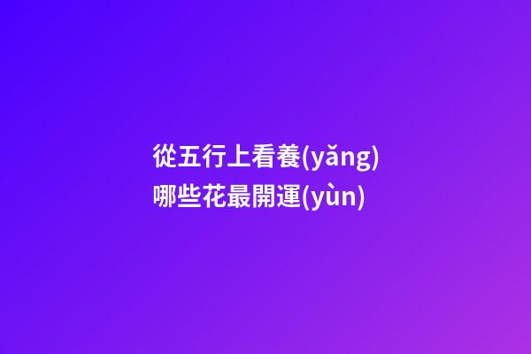 從五行上看養(yǎng)哪些花最開運(yùn)
