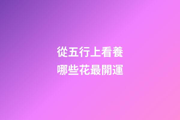 從五行上看養哪些花最開運