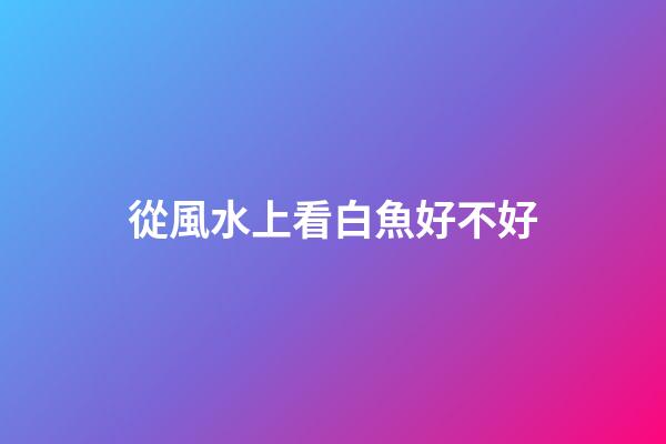 從風水上看白魚好不好