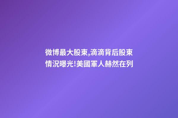 微博最大股東,滴滴背后股東情況曝光!美國軍人赫然在列-第1張-觀點-玄機派