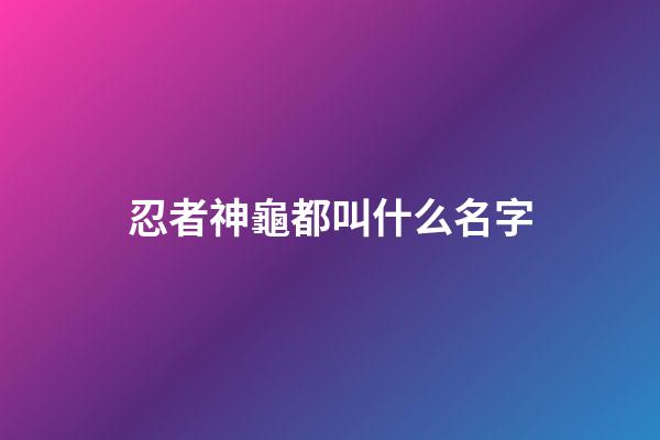 忍者神龜都叫什么名字