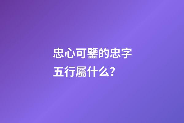 忠心可鑒的忠字五行屬什么？