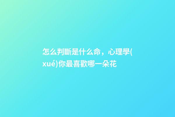 怎么判斷是什么命，心理學(xué)你最喜歡哪一朵花-第1張-觀點(diǎn)-玄機(jī)派