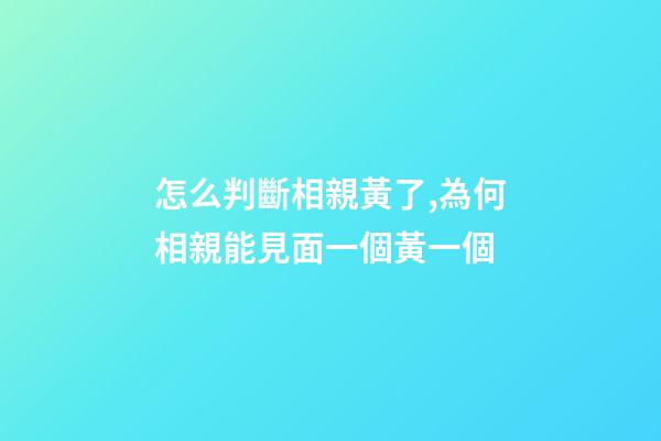 怎么判斷相親黃了,為何相親能見面一個黃一個-第1張-觀點-玄機派