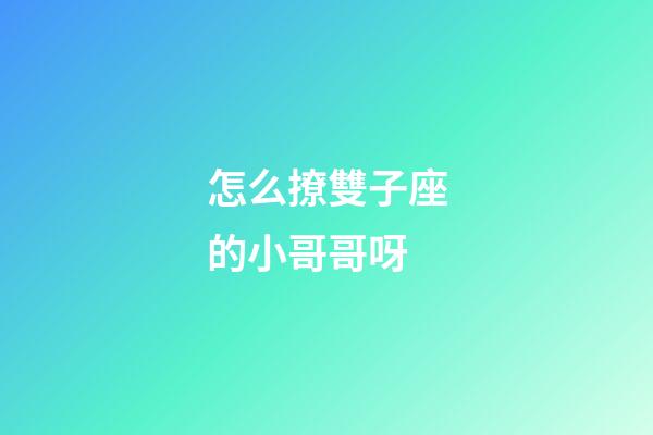怎么撩雙子座的小哥哥呀-第1張-星座運勢-玄機派